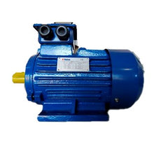 Cargar imagen en el visor de la galería, Motor eléctrico trifasico 4hp
